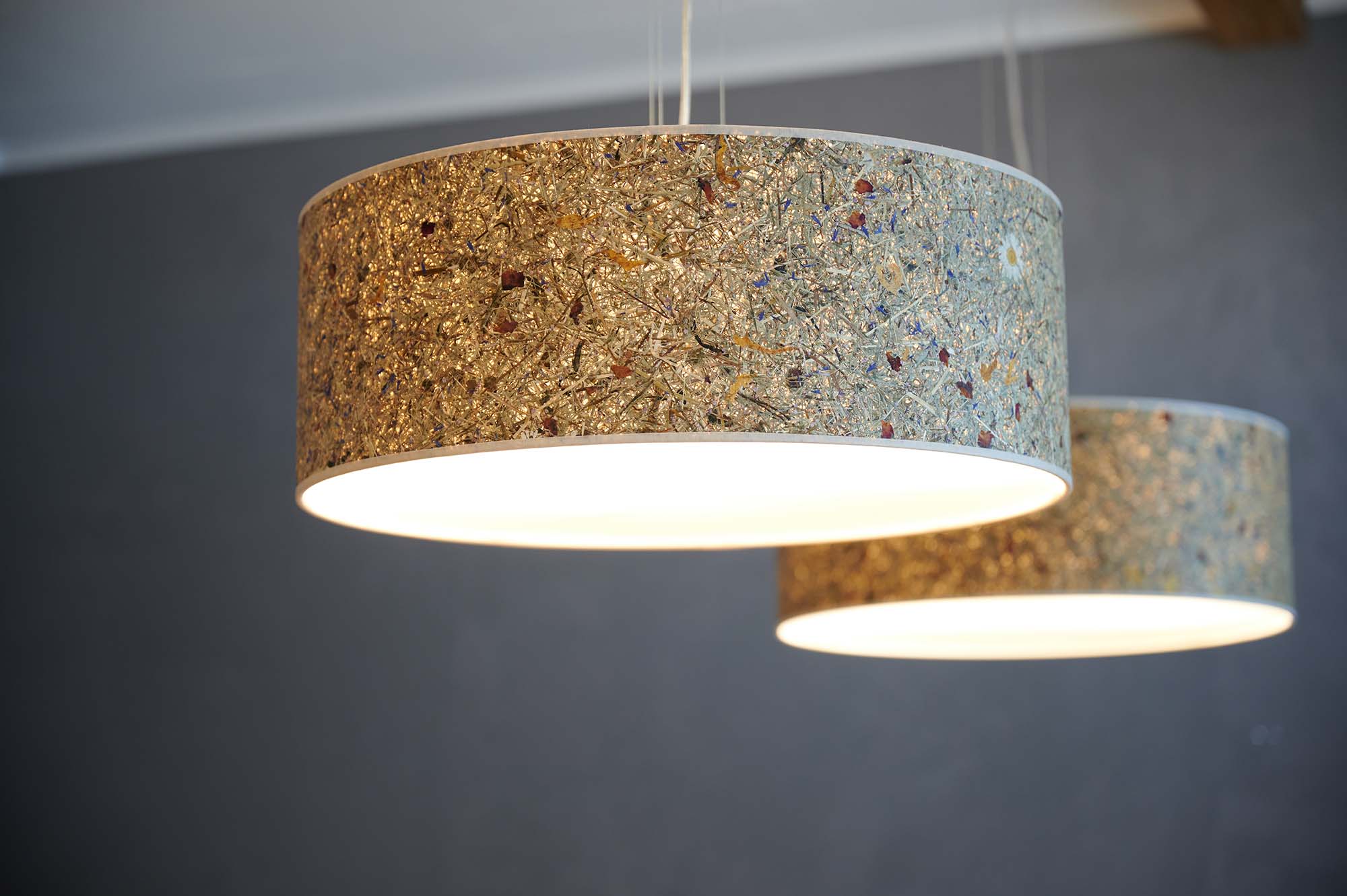 LeuchtNatur Discus Pendelleuchte Ø 55