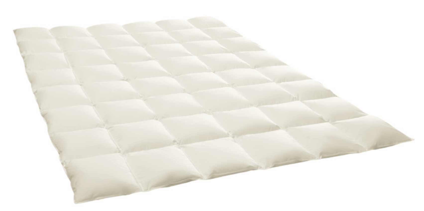 ELZA Steppbett Daunendecke Warm